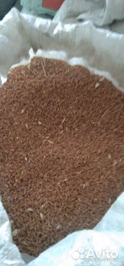 Комбикорм зерно дроблёнка