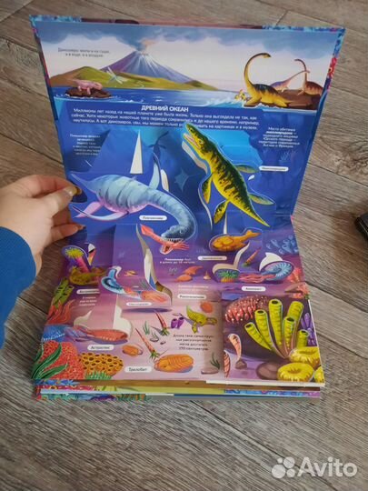 Панорамные книги