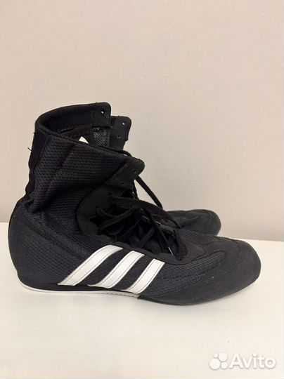 Боксерки adidas box hog 2