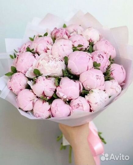 Пионы Цветы Доставка