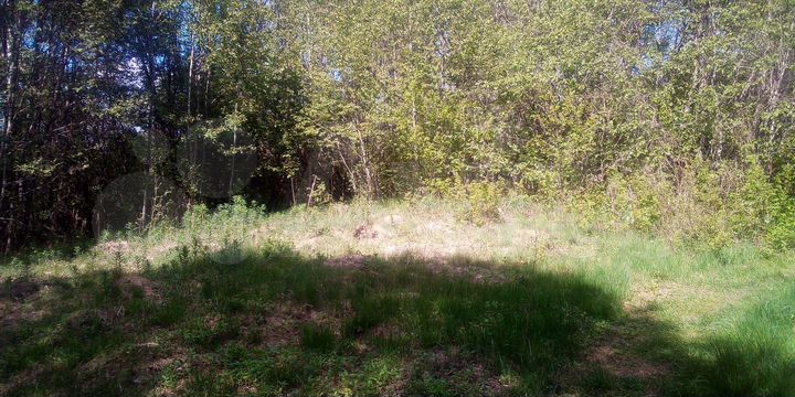 Участок 6,5 га (СНТ, ДНП)