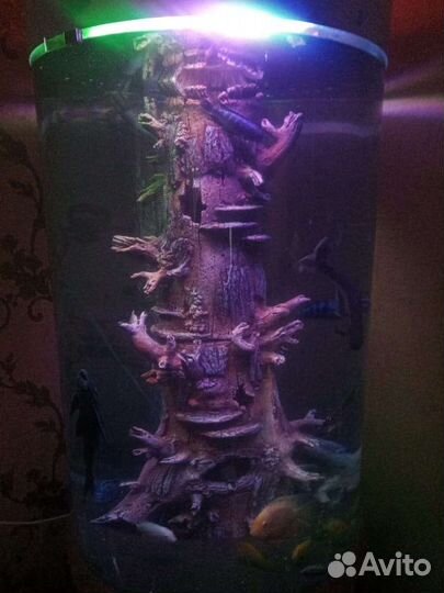 Аквариум целиндрический