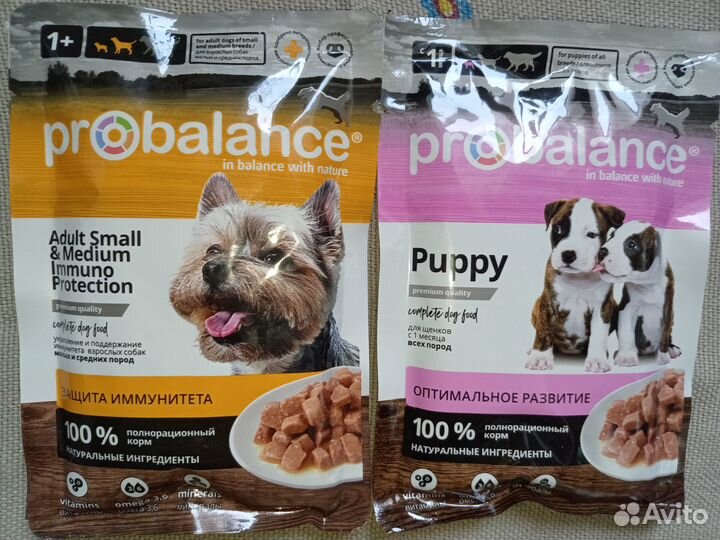Корм для собак probalance
