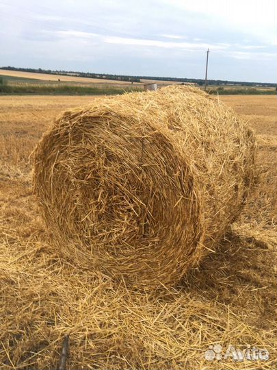 Солома в тюках