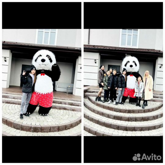 Аниматор. Белый мишка