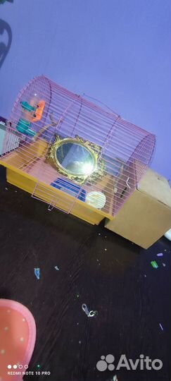 Клетка для попугаев с коробом для высиживания