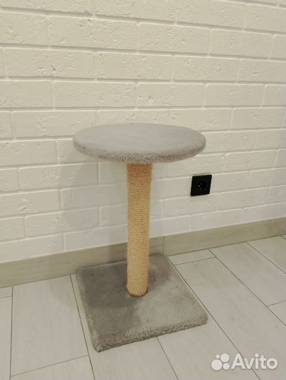 Когтеточка