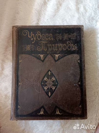 Коллекционное издание