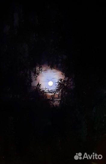 Локация для съемки