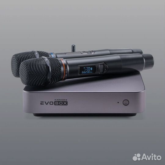 Караоке Evobox Plus графит