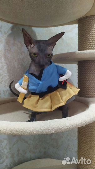 Карнавальный костюм для кошек