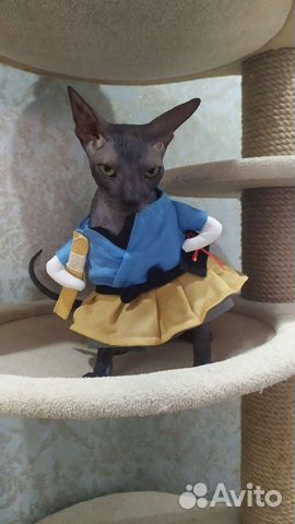 Карнавальный костюм для кошек