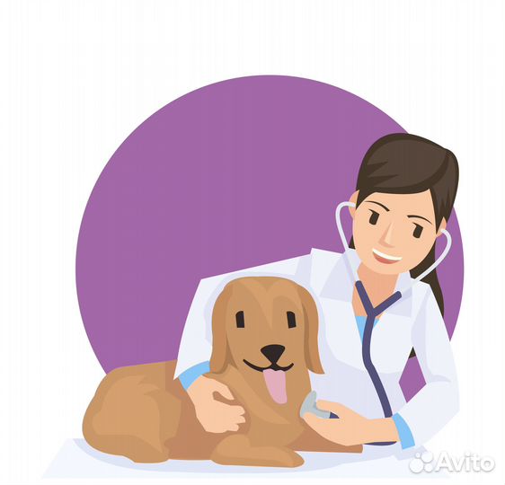 Ветеринарные услуги. Вакцинация животных