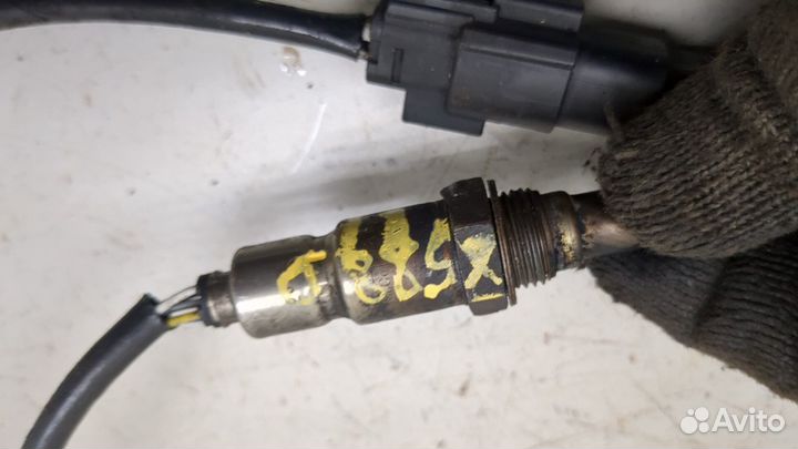 Лямбда зонд Ford C-Max, 2016