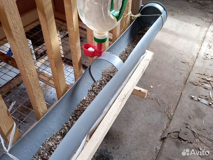 Клетки для кур