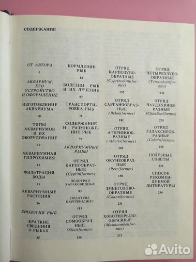 А.М. Кочетов 