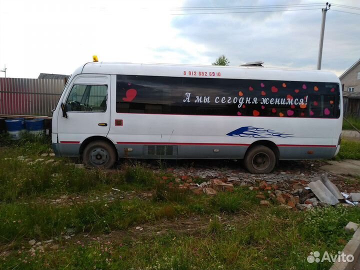 Голд дракон