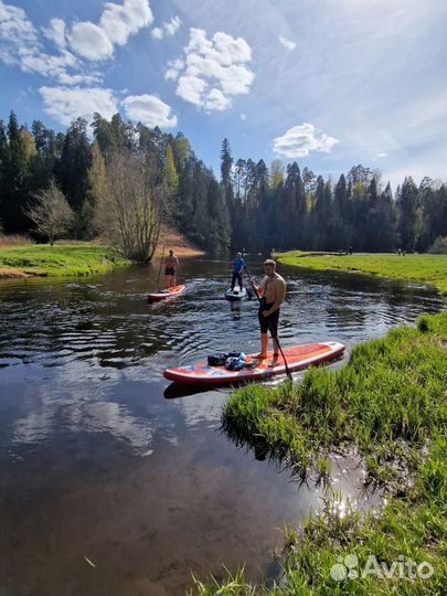 Сплавы по реке Оредеж SUP борд, байдарка