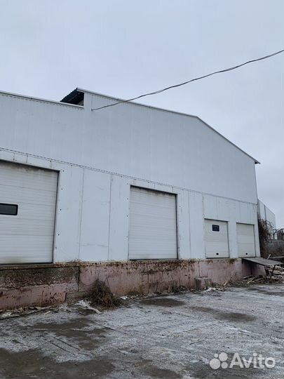 Аренда холодильной морозильной камеры или склада