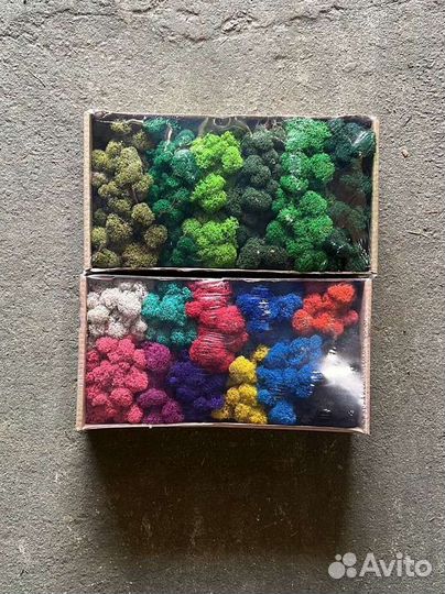 Стабилизированный мох