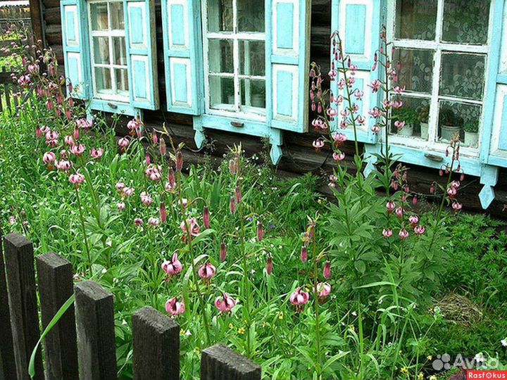 Пластиковые окна с отделкой под ключ