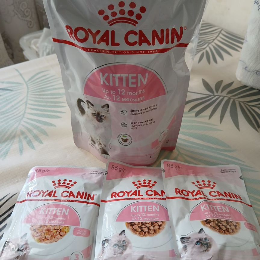 Корм для котят royal canin