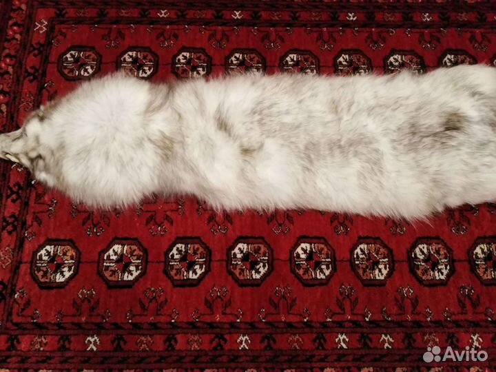 Мех песца