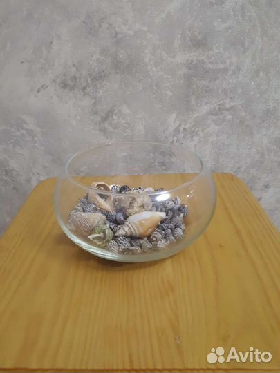 Сухой аквариум