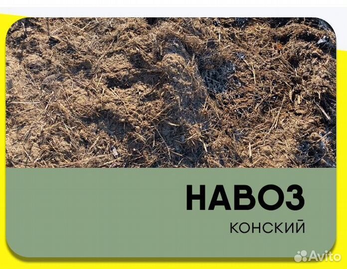 Конский навоз