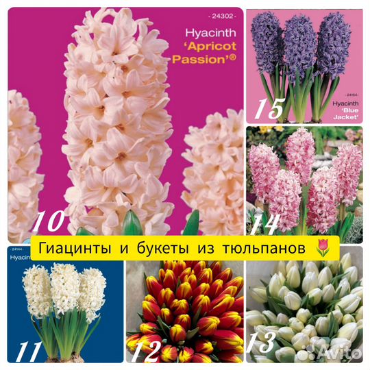 Тюльпаны к 8 марта