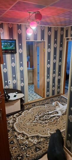 2-к. квартира, 51,1 м², 4/5 эт.