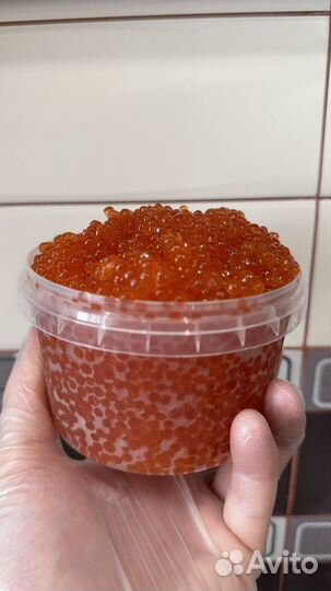 Свежая красная Икра Горбуши 2023