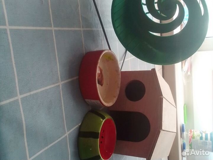 Штучки для грызунов