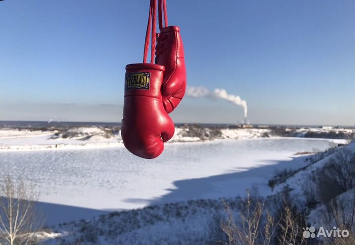 Боксерские Перчатки Мини