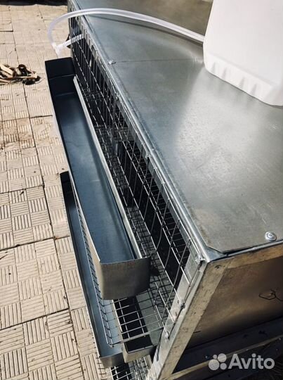 Клетки для перепелов