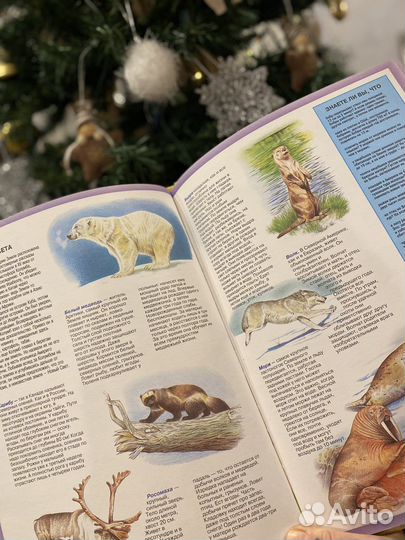 Детские энциклопедии и не только