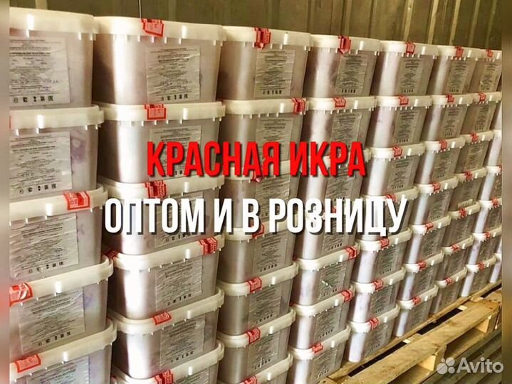 Икра опт