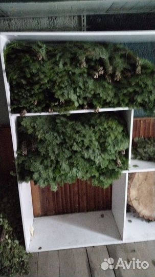 Веники для бани