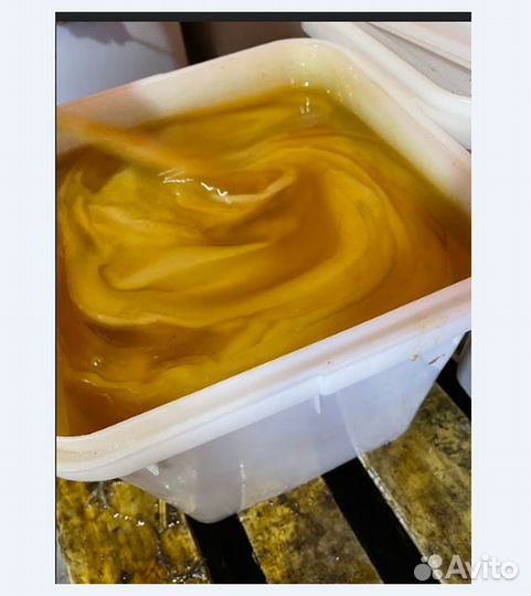 Мед оптом. Цветочный мед