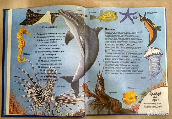 Детская энциклопедия