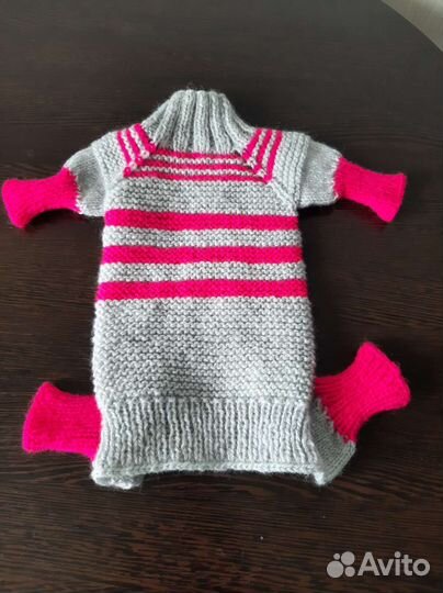 Одежда для собак