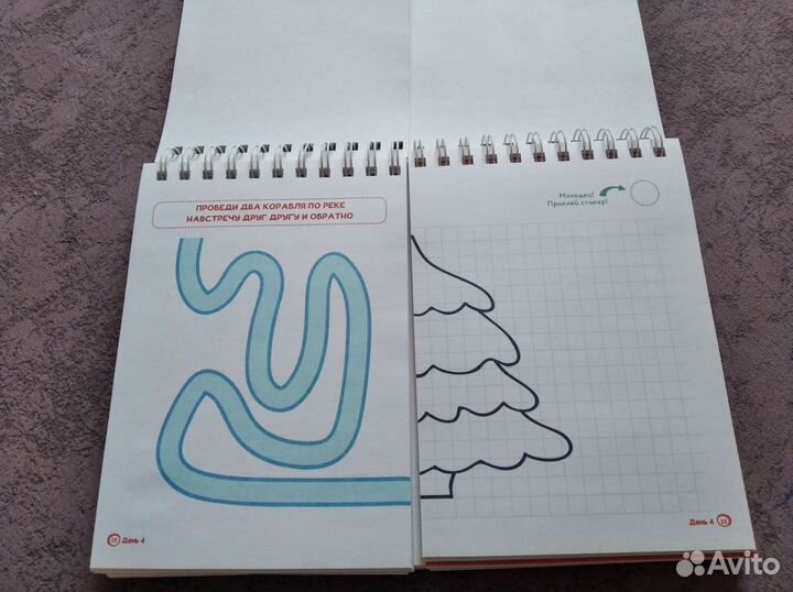 Книга Шамиля Ахмадуллина