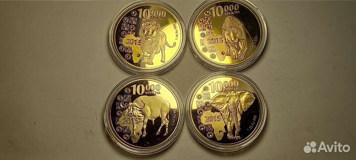 Фауна.наборы.красная книга.панда.коала.медведь