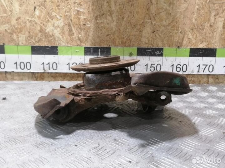 Кулак задний левый E 124