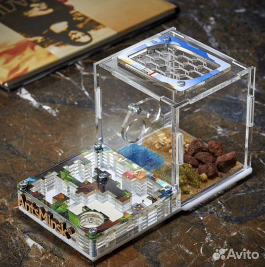 Муравьиная ферма XL Формикарий