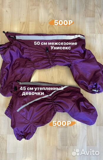 Дождевики и одежда для собак