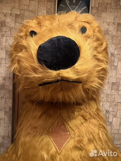 Ростовой костюм - медведь Бурый 2.6 М