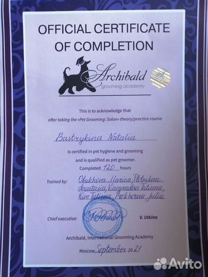 Груминг домашних животных