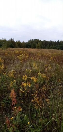 Участок 10,6 га (СНТ, ДНП)