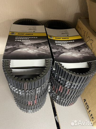 422280367 Ремень вариатора усиленный BRP